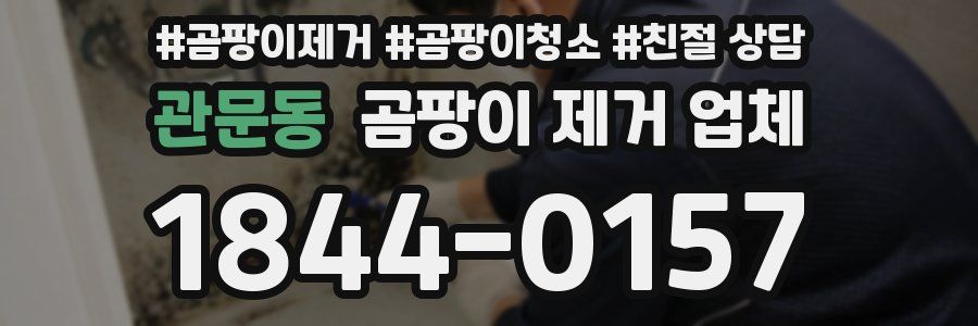 관문동 곰팡이 제거 업체
