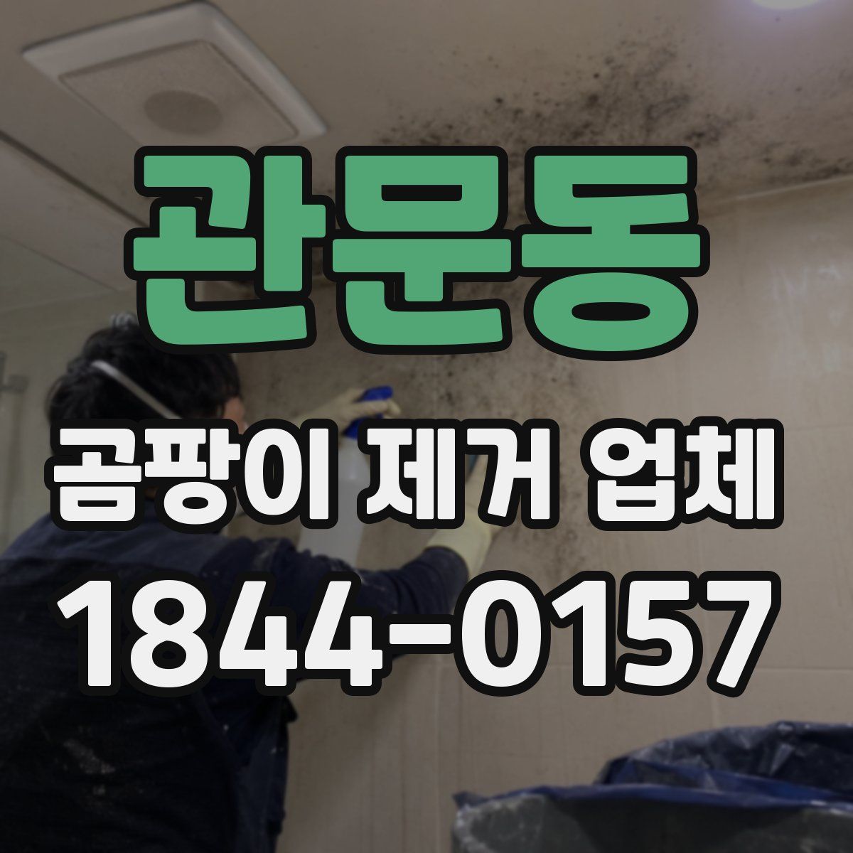 관문동 곰팡이 제거 업체