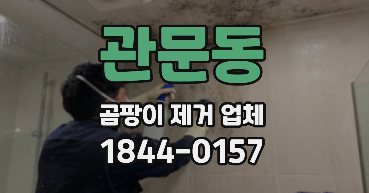 관문동 곰팡이 제거 업체