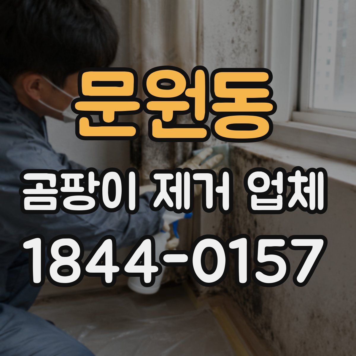 문원동 곰팡이 제거 업체