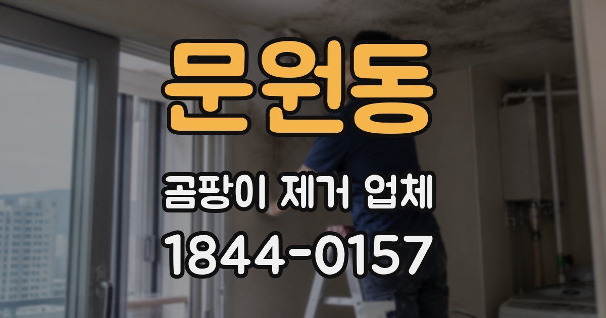 문원동 곰팡이 제거 업체