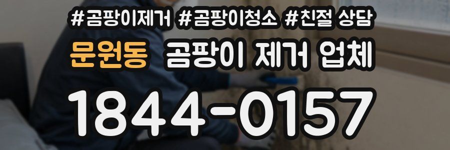 문원동 곰팡이 제거 업체