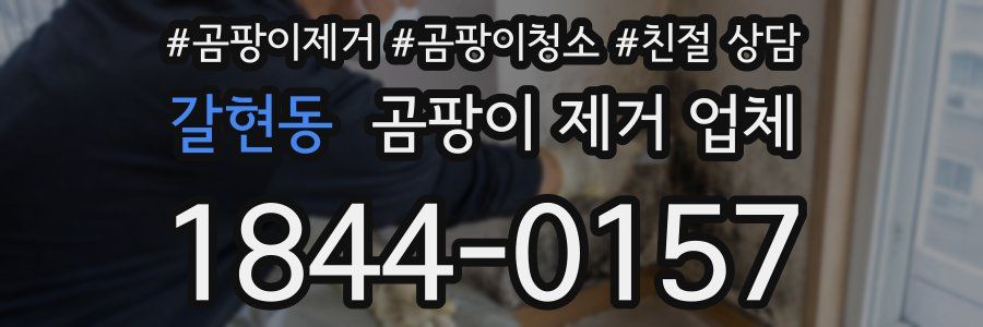 갈현동 곰팡이 제거 업체