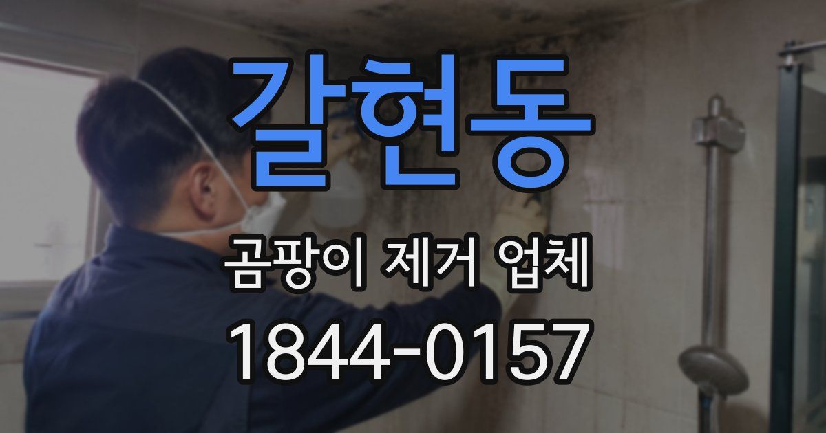 갈현동 곰팡이 제거 업체