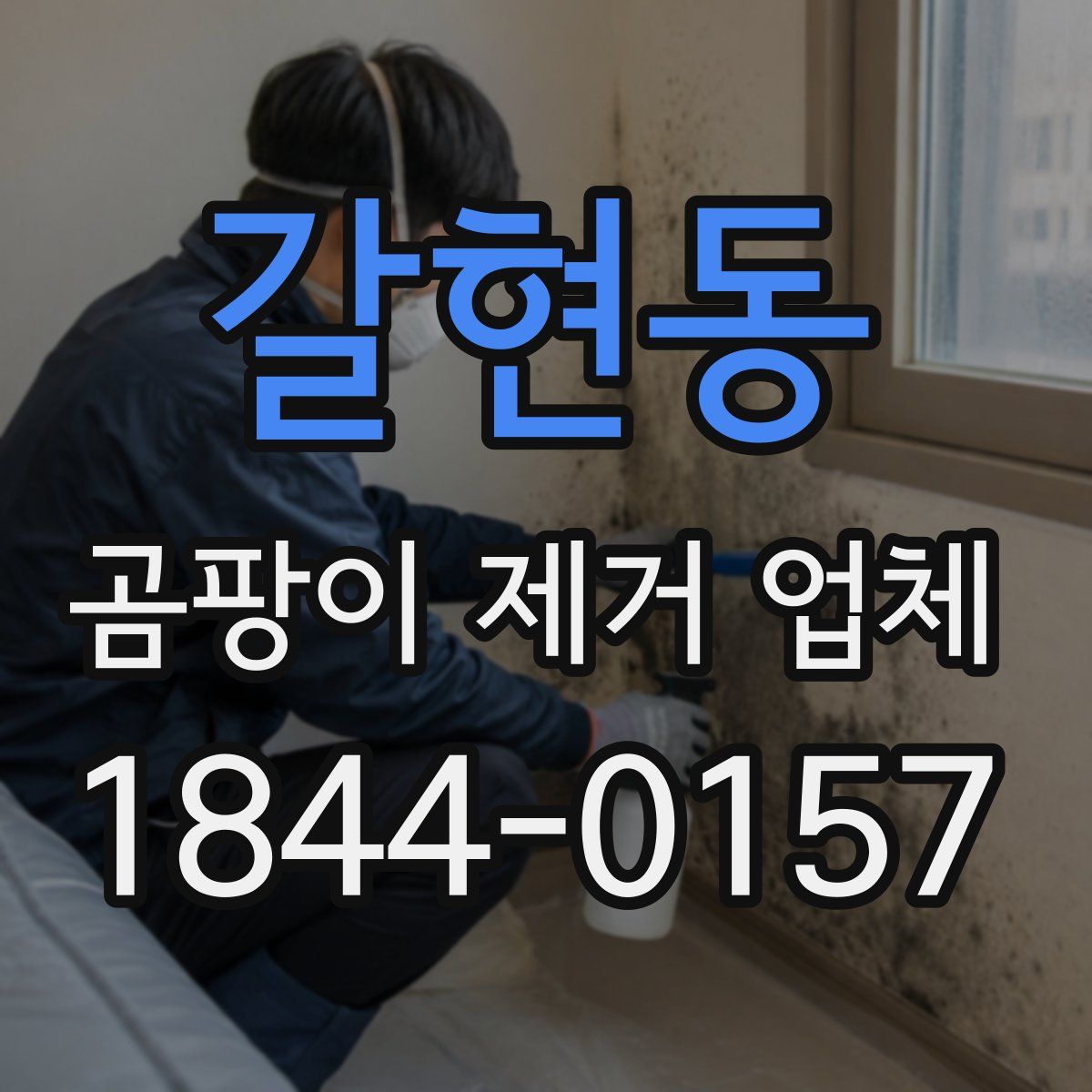 갈현동 곰팡이 제거 업체