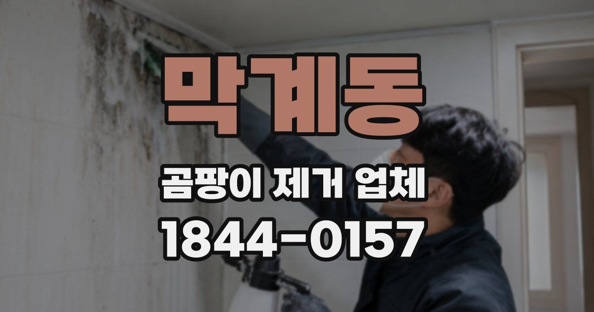 막계동 곰팡이 제거 업체