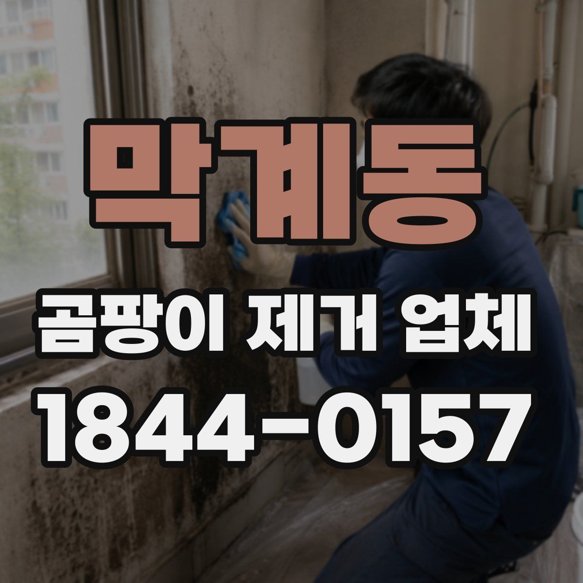 막계동 곰팡이 제거 업체