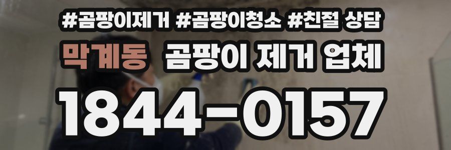 막계동 곰팡이 제거 업체