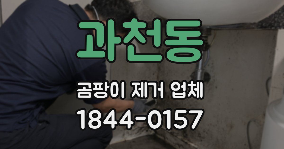 과천동 곰팡이 제거 업체