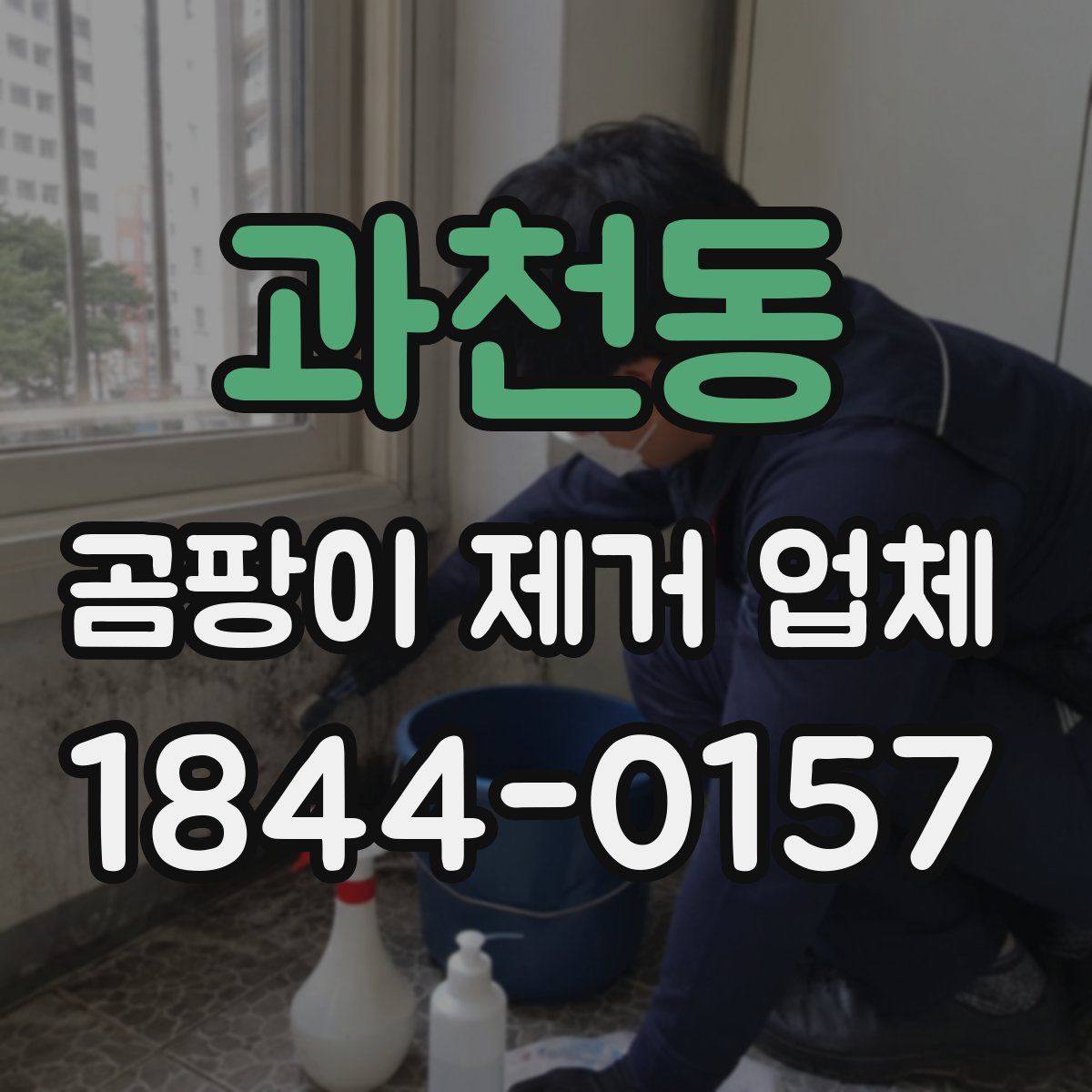 과천동 곰팡이 제거 업체