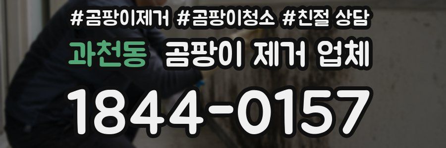 과천동 곰팡이 제거 업체