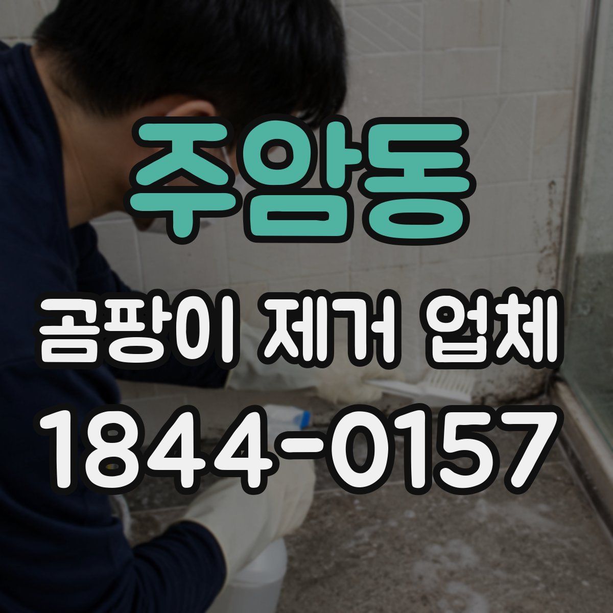 주암동 곰팡이 제거 업체