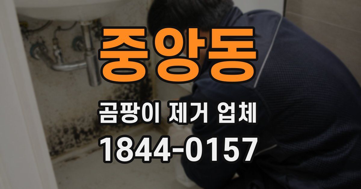 중앙동 곰팡이 제거 업체