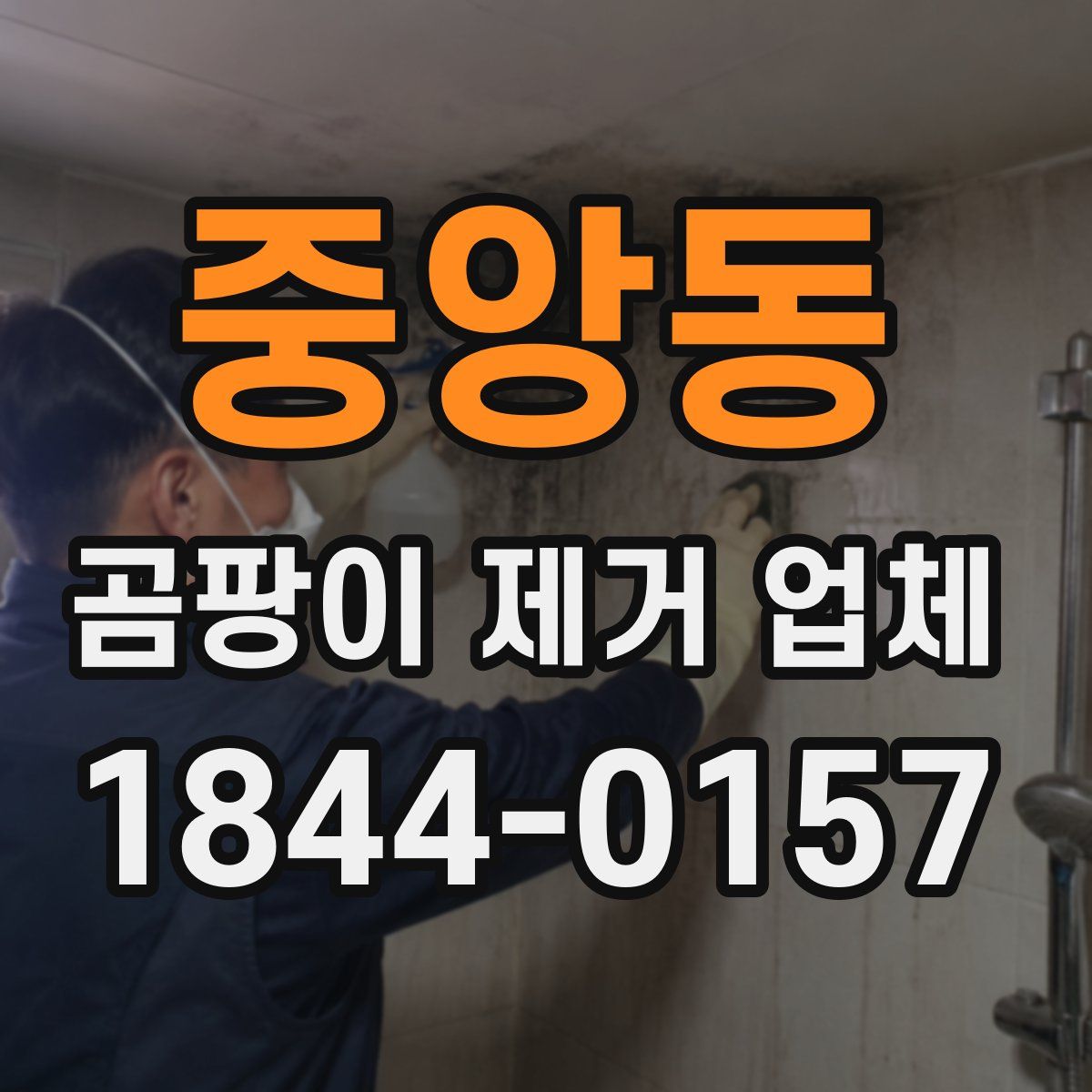 중앙동 곰팡이 제거 업체