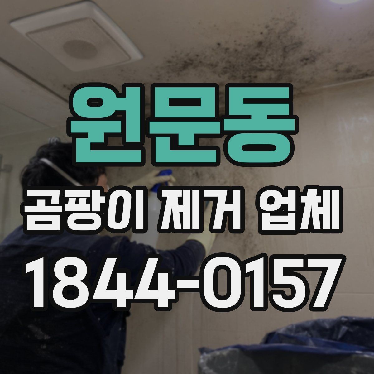 원문동 곰팡이 제거 업체 비용 구성 이해하기