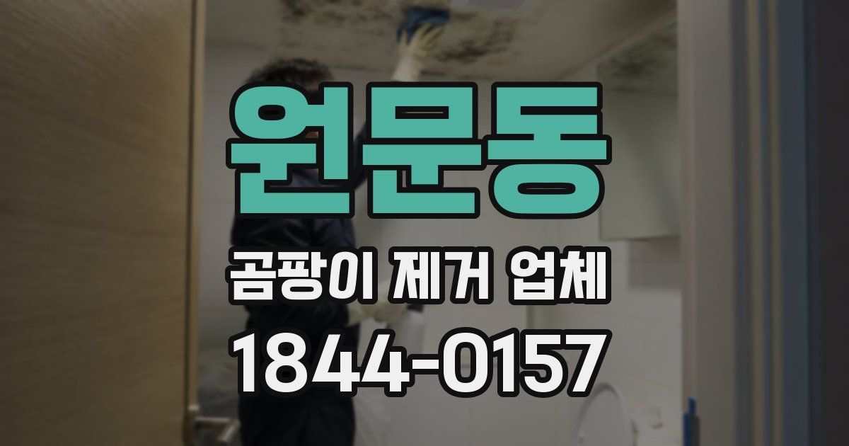 원문동 곰팡이 제거 업체