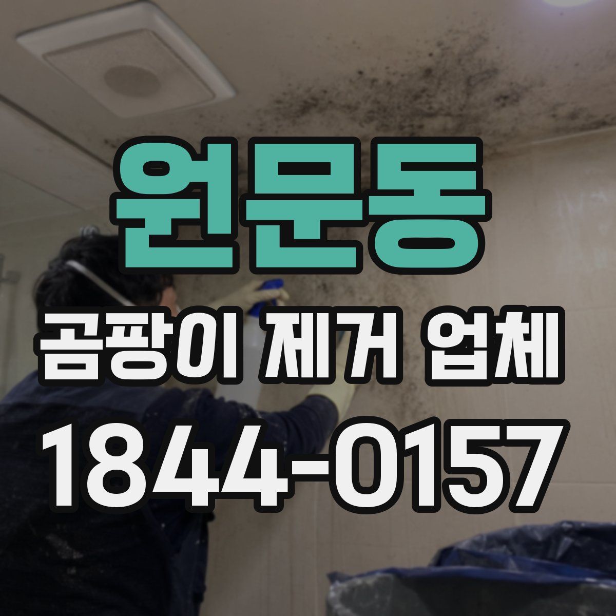 원문동 곰팡이 제거 업체