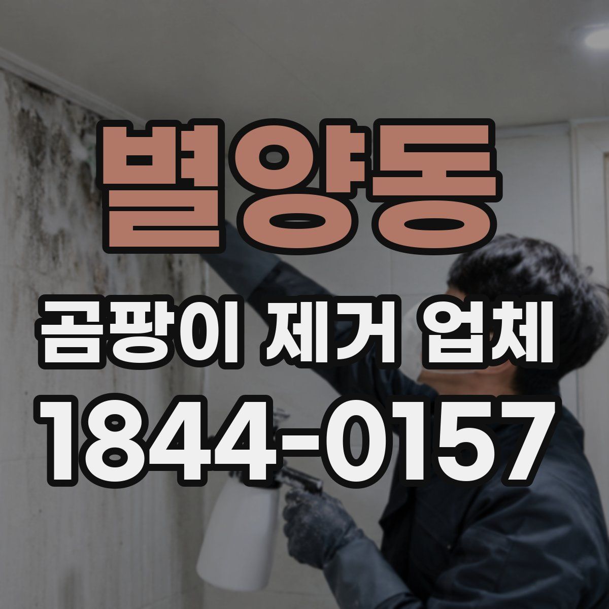 별양동 곰팡이 제거 업체