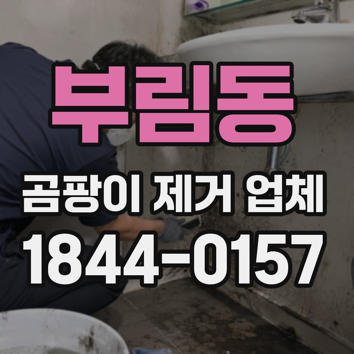 부림동 곰팡이 제거 업체 비용 구성 이해하기