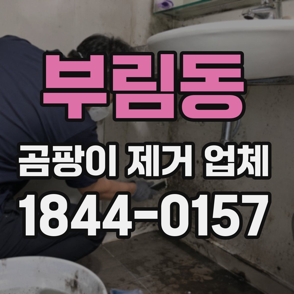 부림동 곰팡이 제거 업체