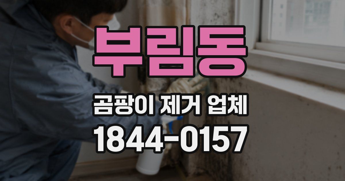 부림동 곰팡이 제거 업체