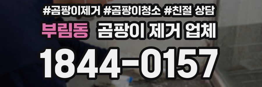 부림동 곰팡이 제거 업체