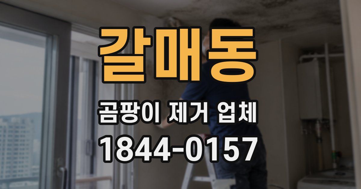 갈매동 곰팡이 제거 업체