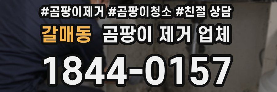 갈매동 곰팡이 제거 업체