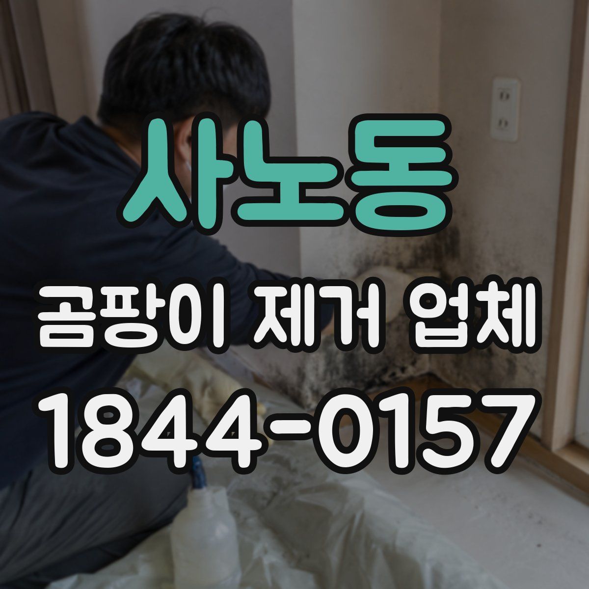 사노동 곰팡이 제거 업체