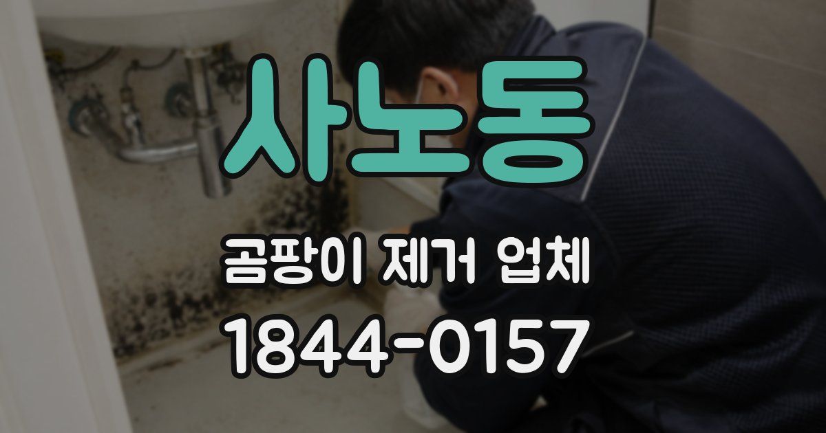 사노동 곰팡이 제거 업체