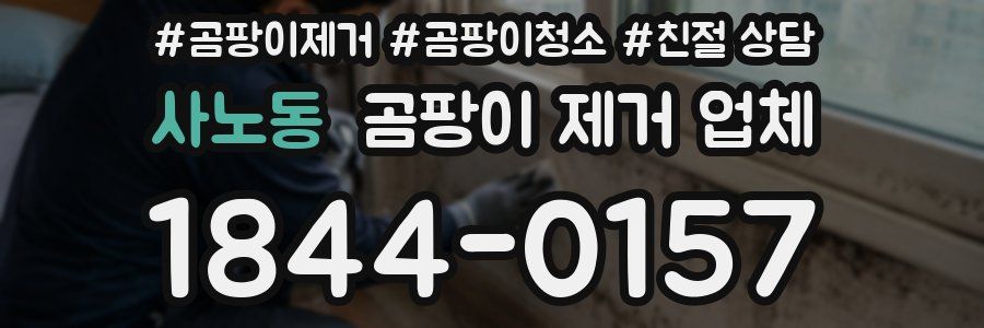 사노동 곰팡이 제거 업체