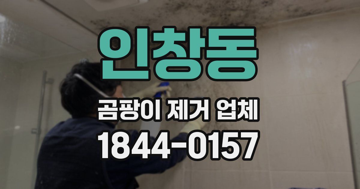 인창동 곰팡이 제거 업체