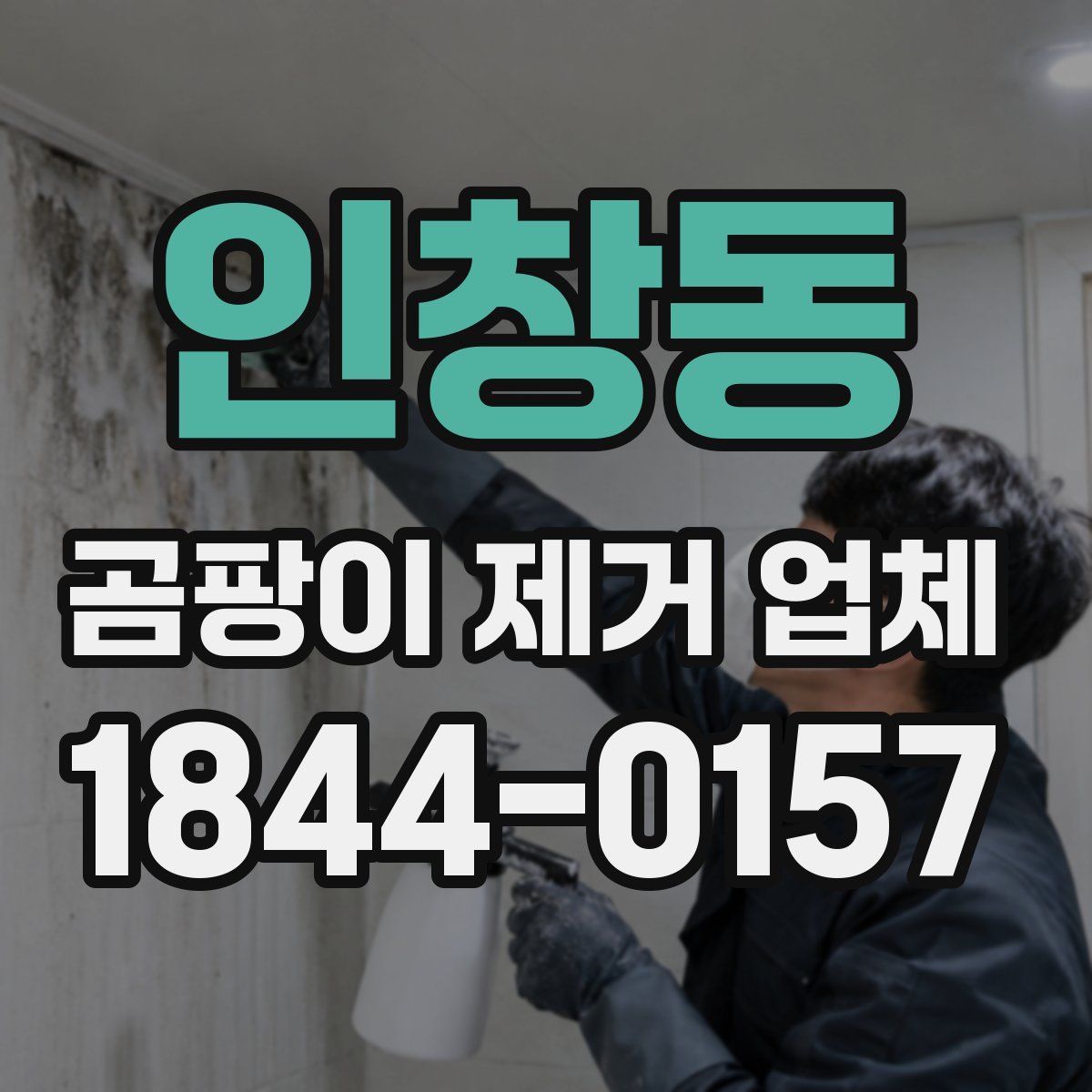 인창동 곰팡이 제거 업체