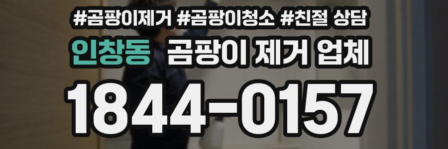 인창동 곰팡이 제거 업체