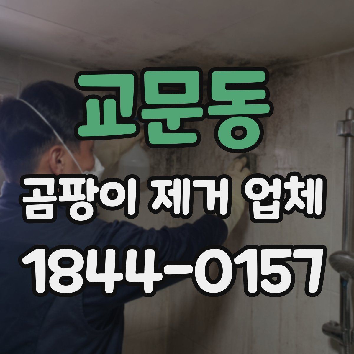 교문동 곰팡이 제거 업체 비용은 어떻게 달라질까
