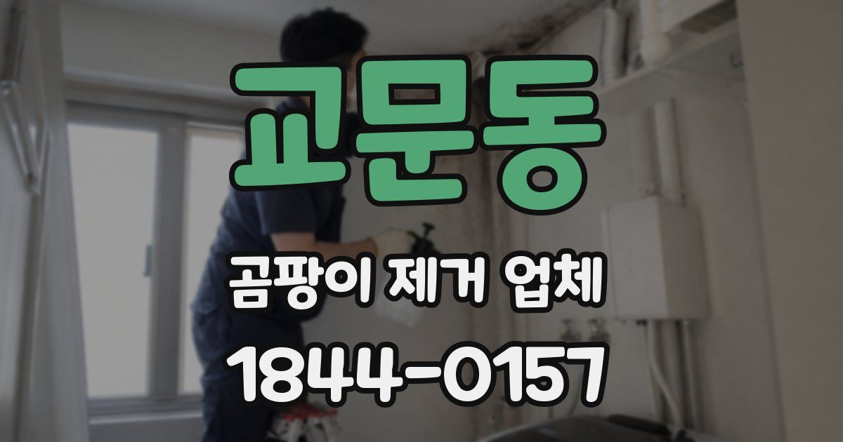 교문동 곰팡이 제거 업체