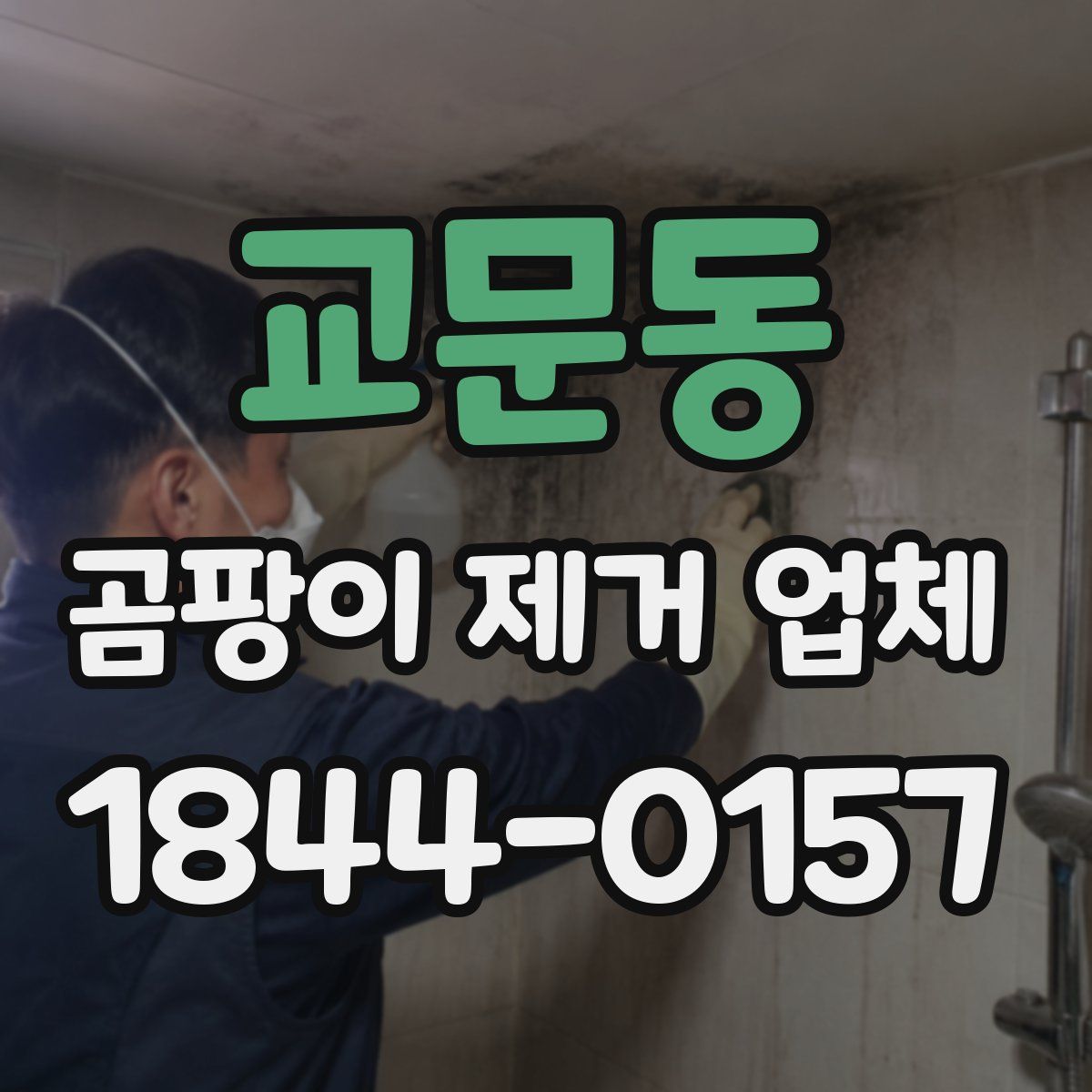 교문동 곰팡이 제거 업체