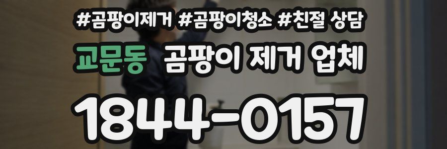 교문동 곰팡이 제거 업체