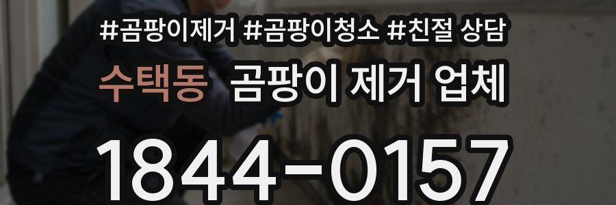 수택동 곰팡이 제거 업체