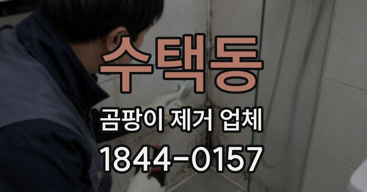 수택동 곰팡이 제거 업체