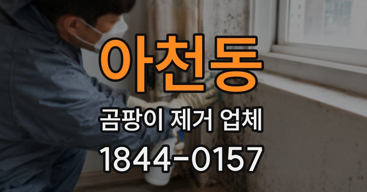 아천동 곰팡이 제거 업체