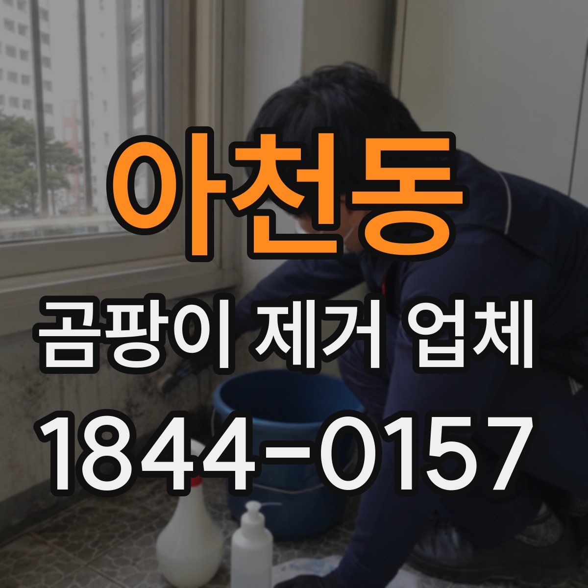 아천동 곰팡이 제거 업체