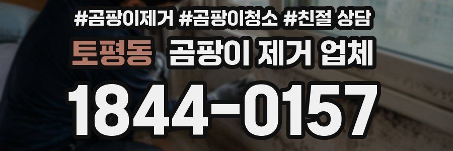 토평동 곰팡이 제거 업체