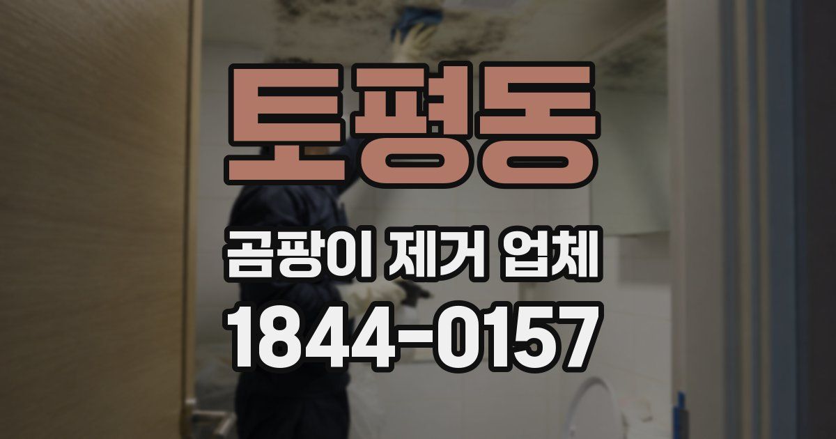 토평동 곰팡이 제거 업체