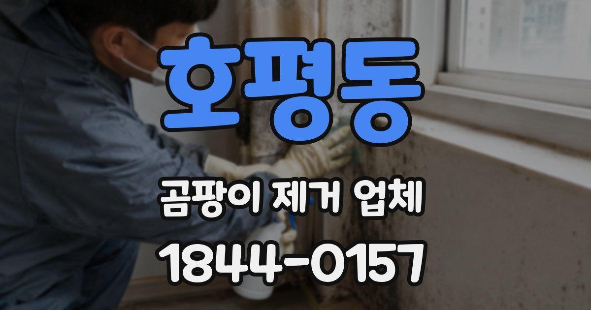 호평동 곰팡이 제거 업체