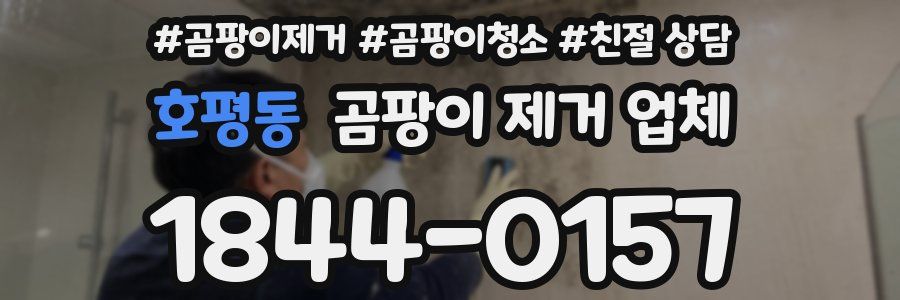 호평동 곰팡이 제거 업체
