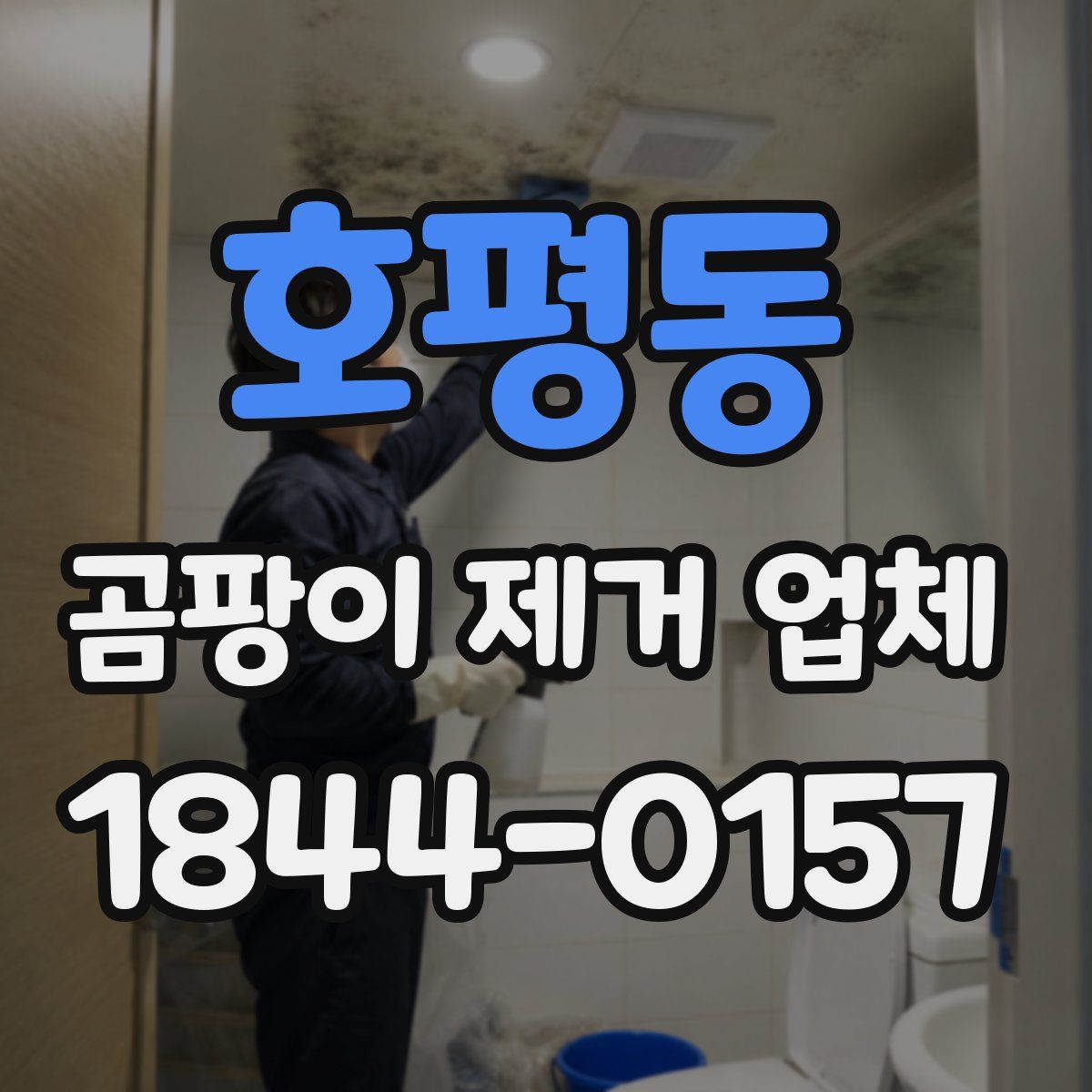 호평동 곰팡이 제거 업체