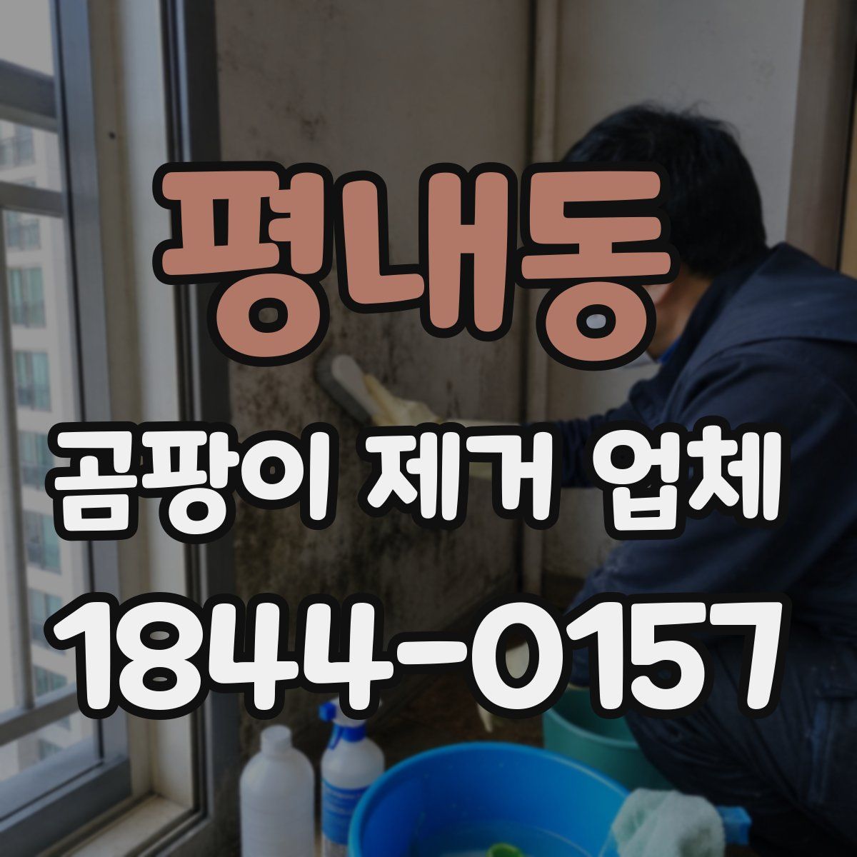 평내동 곰팡이 제거 업체