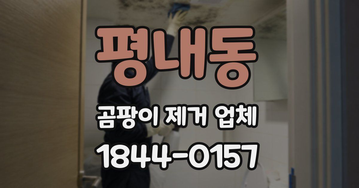 평내동 곰팡이 제거 업체