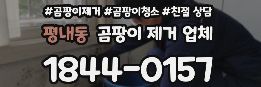 평내동 곰팡이 제거 업체